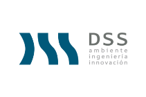 DSS